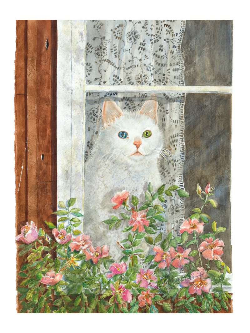 Katten i Vikafönstret – Fine art print